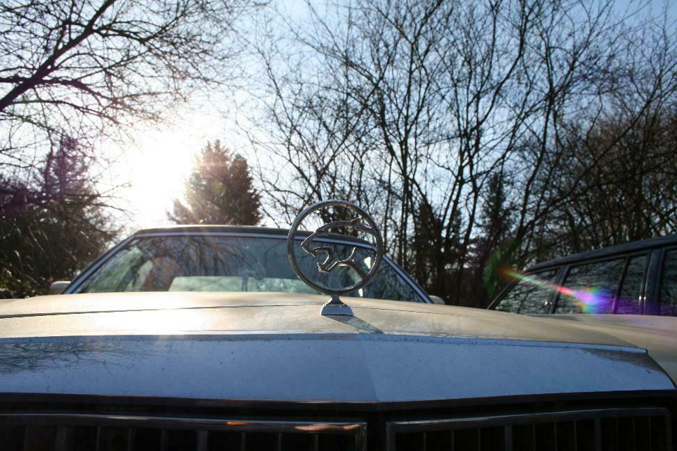 Concours de Elegance Dünnwald: ART Januar 09