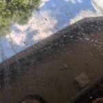 Img-20200620
