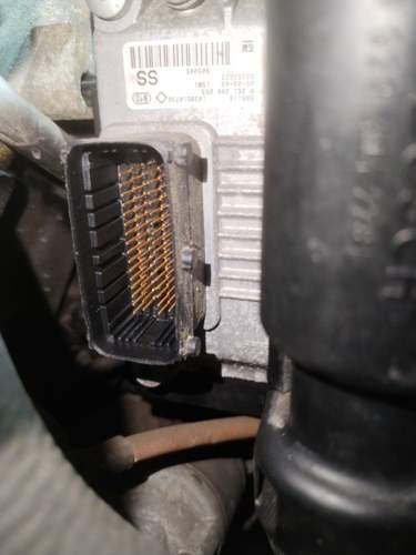Img-20240611