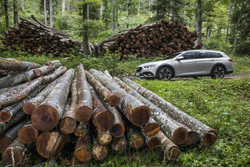 Wer regelmäßig große Stämme einladen muss, wird wohl eher nicht zum Insignia Country Tourer greifen. Daran vorbeifahren kann der Kombi aber prima