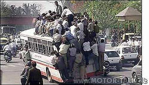 Bus