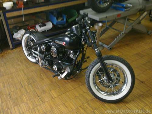 20120325297