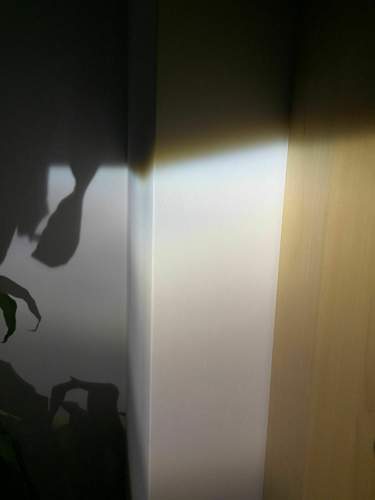 Bild-2