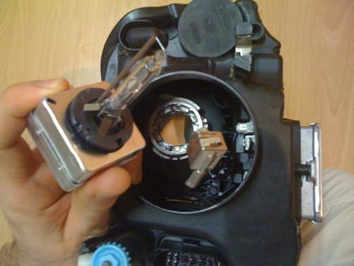 Img-0005