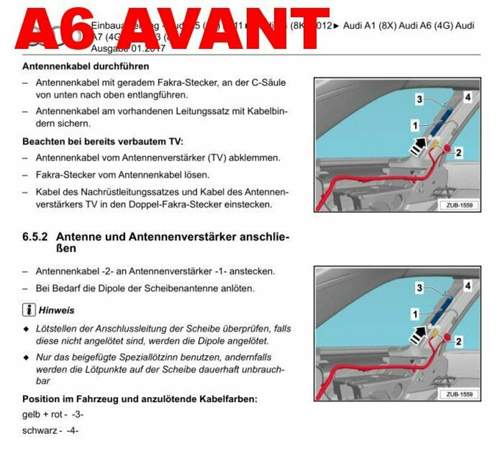 AVANT