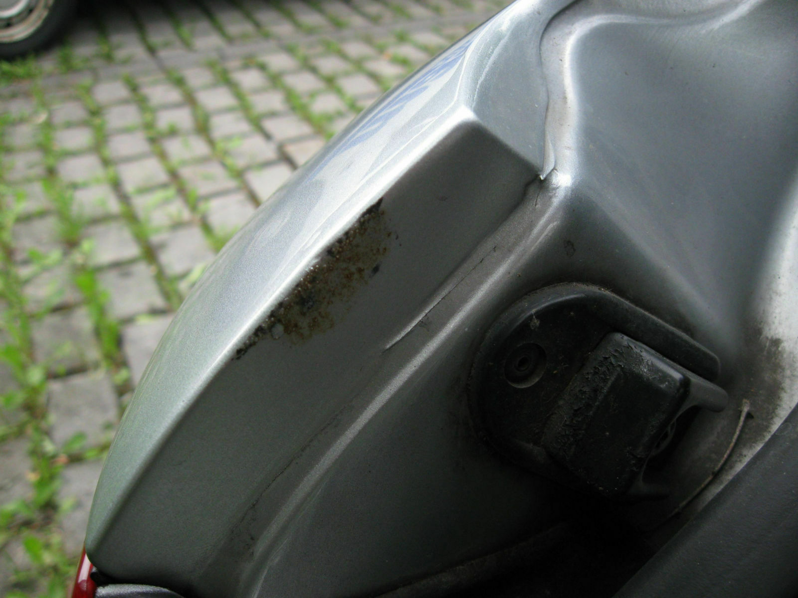 Dach-Rost am Avant
