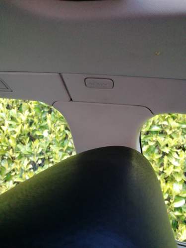 IMG_2022-04-30_19-16-37.jpeg