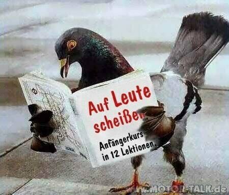 Dachkantenspoiler