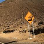 Dakar 2011: Vorsicht Meteoriten!