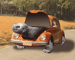 Damit wir alle was zum lachen haben! :D