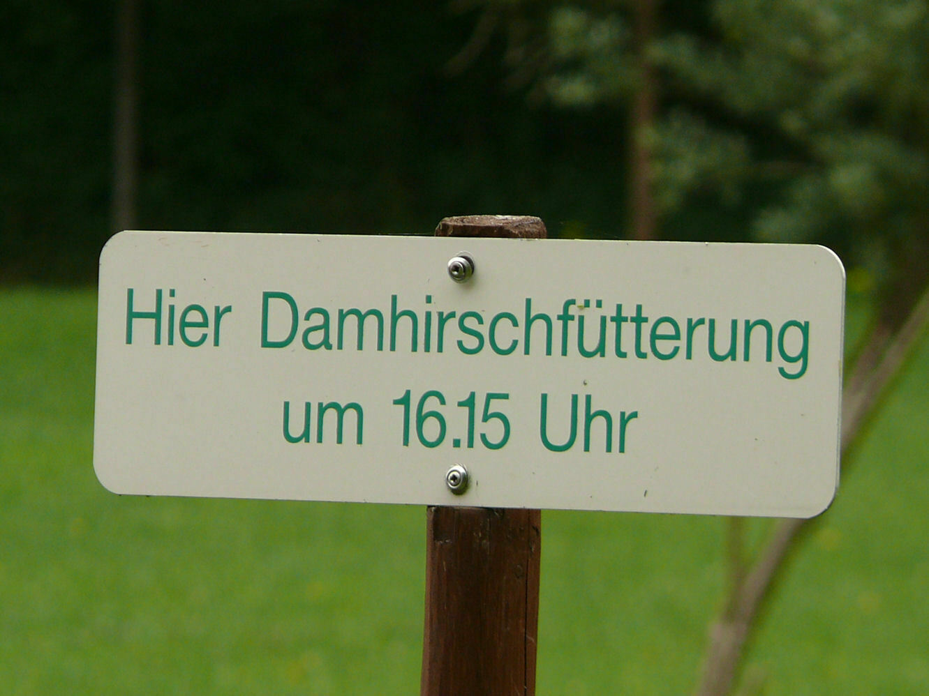 Das Frühjahr