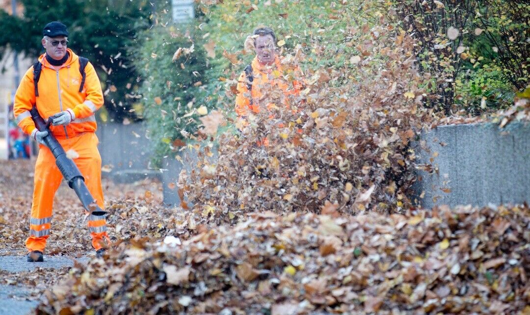 Laubbeseitigung mit dem Laubbläser. In Eschweiler bei Aachen führte das beinahe zu einem "Massaker". Ein Stein war gegen ein Auto geschleudert worden