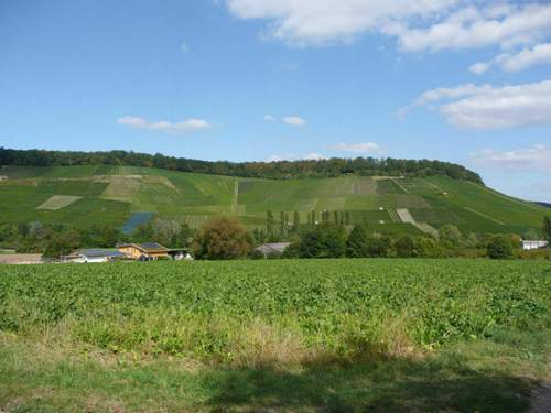 Das-zielgebiet