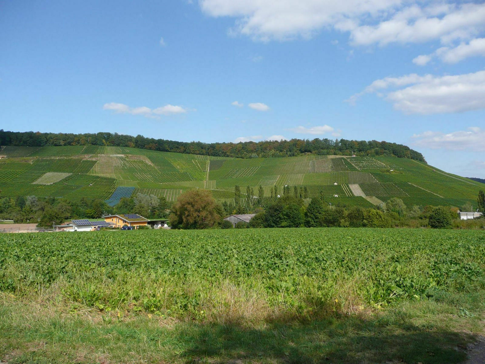 Das MT-Bikertreff-Weißbierverprobungstreffen