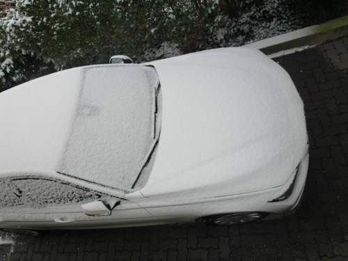Schnee-4