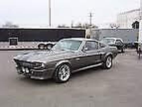 Mustang