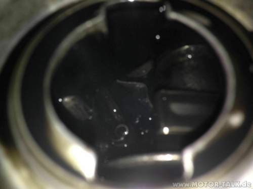 Img-1565