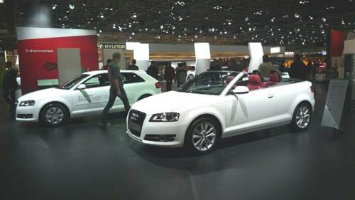 Bild-1