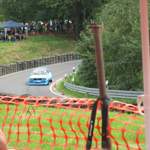 Img-1391