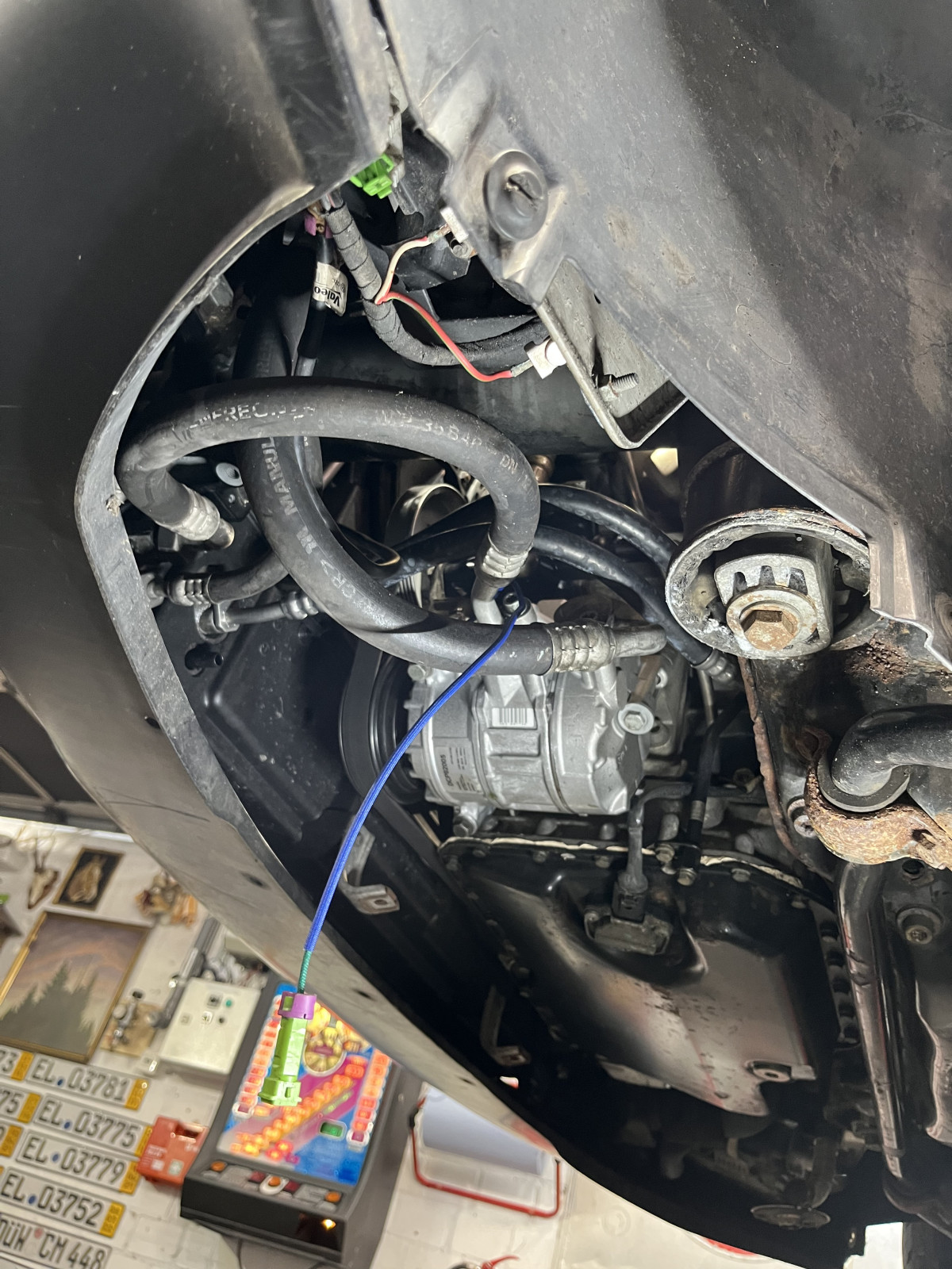 Der Black Pearl wieder ins Leben zurück helfen - AQF Restauration - Der Blog
