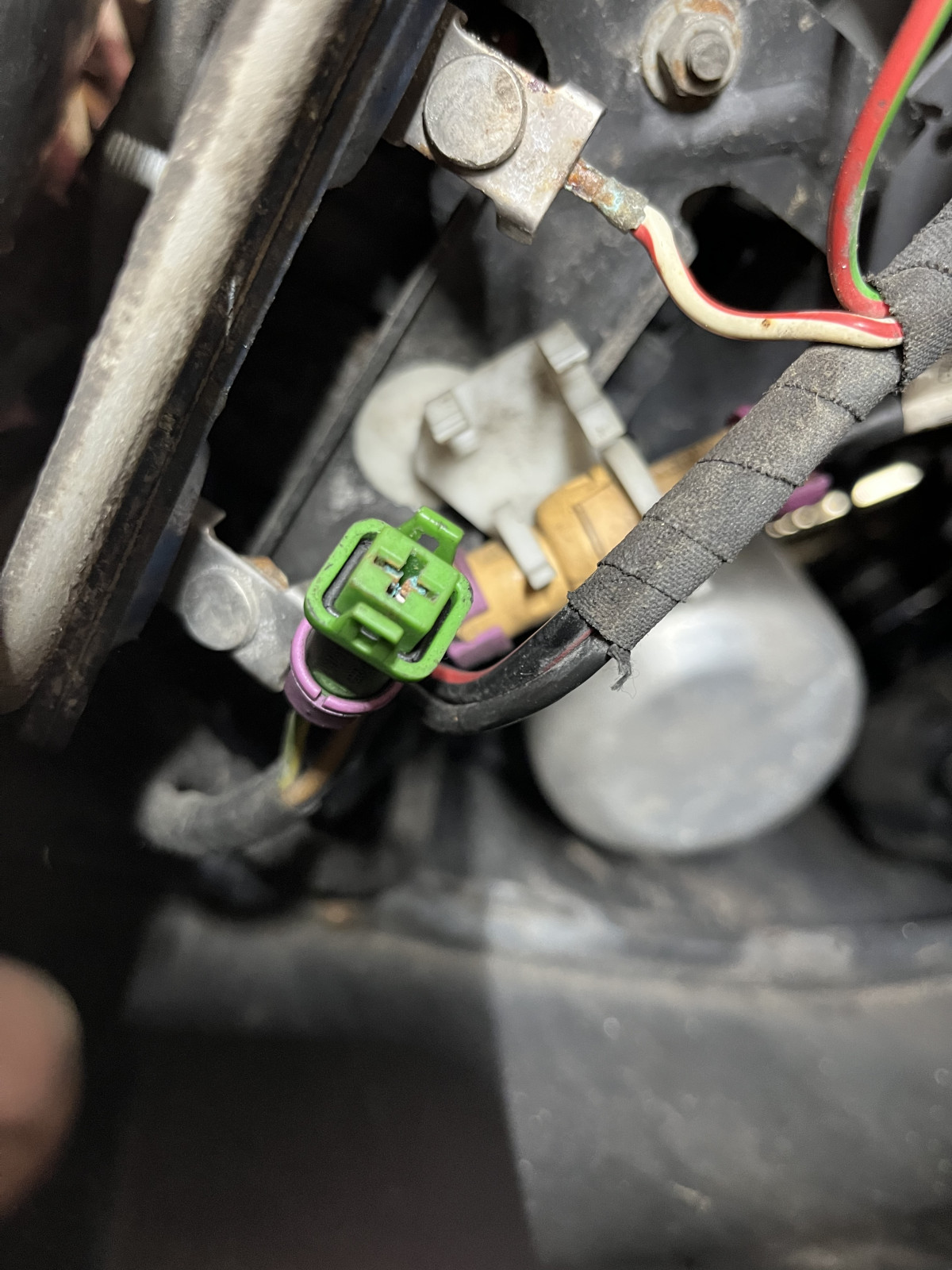 Der Black Pearl wieder ins Leben zurück helfen - AQF Restauration - Der Blog