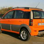 Panda-cross