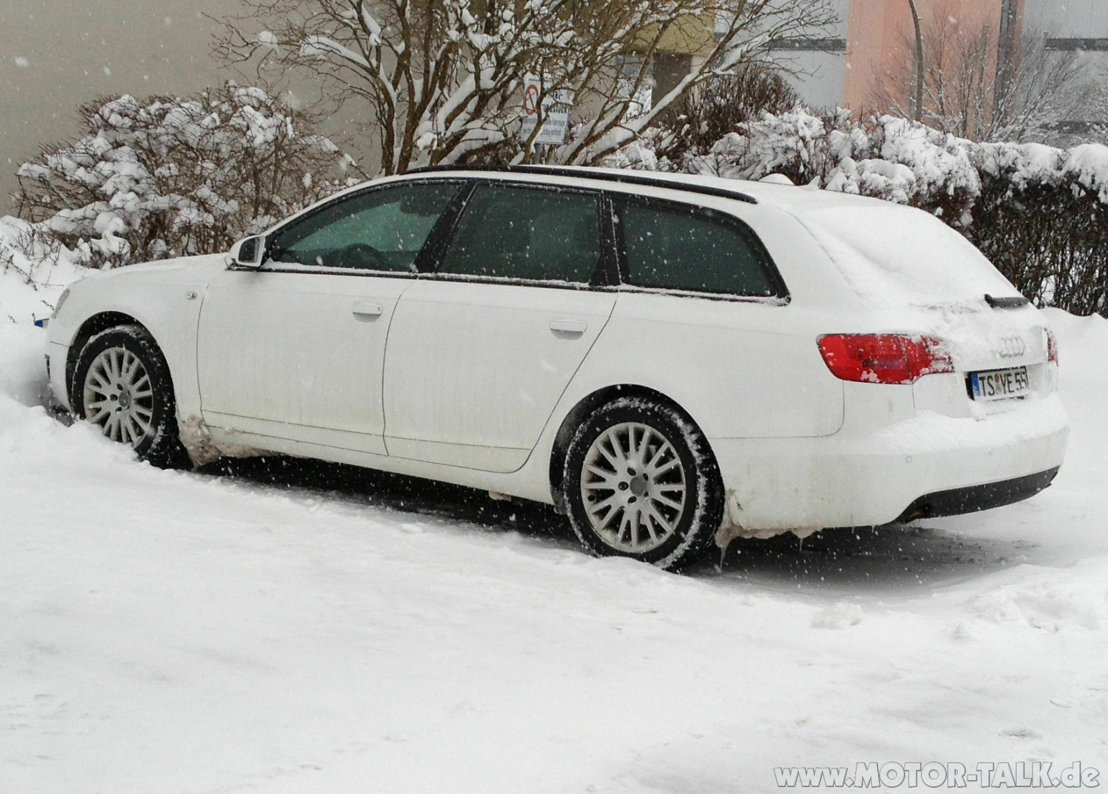 Der "Dicke" im Schnee in Aktion
