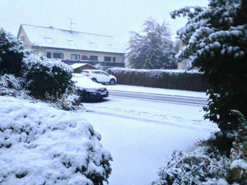 Img-9973