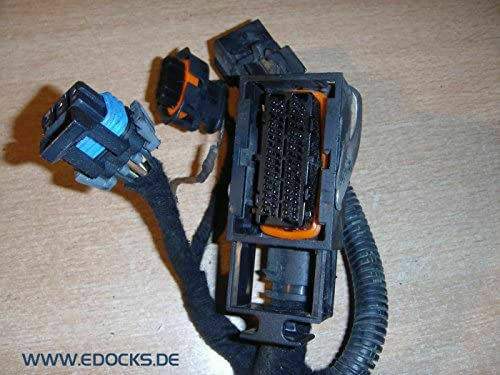 X 56 Stecker MSG