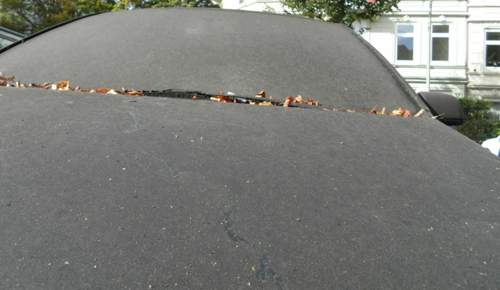Bild-3
