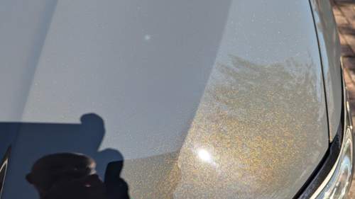 Bild #211448536