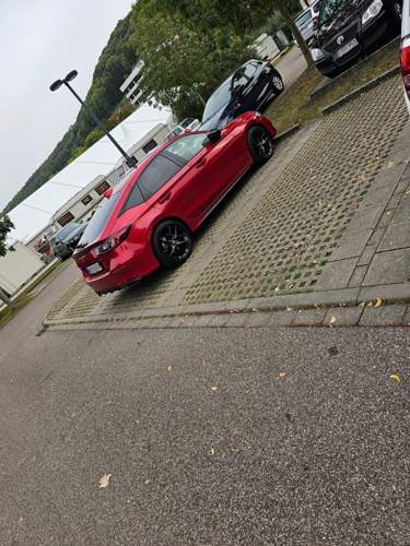 Polish-20231010