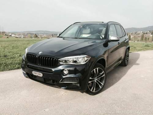 486M und M Performance Nieren