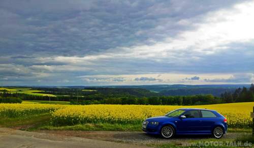 S3 Rapsfeld 2