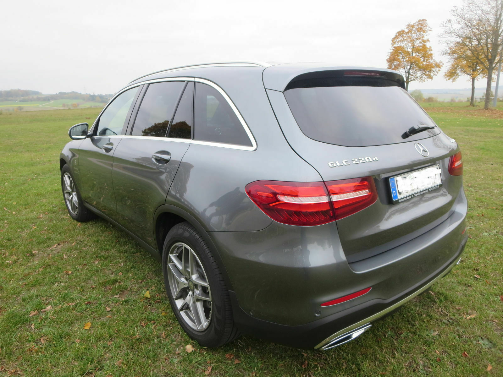Der GLC Bilder Thread