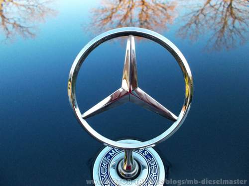 Der-grund-meiner-sucht