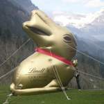 Goldhase ist da bald die Luft raus?