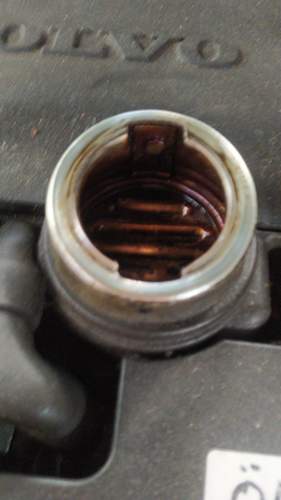 IMG-20220804-WA0071.jpeg