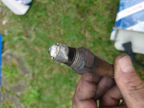 Diagnosesonde
