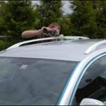 Carclean015