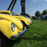 RE-Beetle 2015