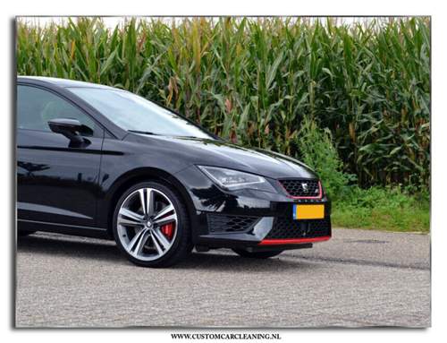Cupra-3