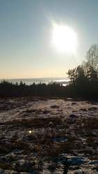 Bild #208709771