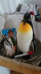 Img-20141216-wa0012