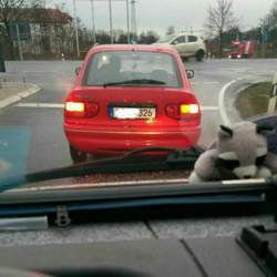 Img-20141219-wa0022-1-1