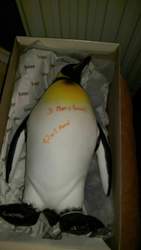 Img-20141220-wa0052