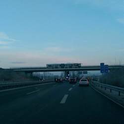 Bild #207704421