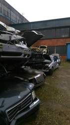 Bild #207740878