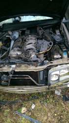 Bild #207740879