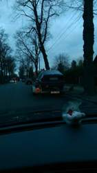 Bild #207871817